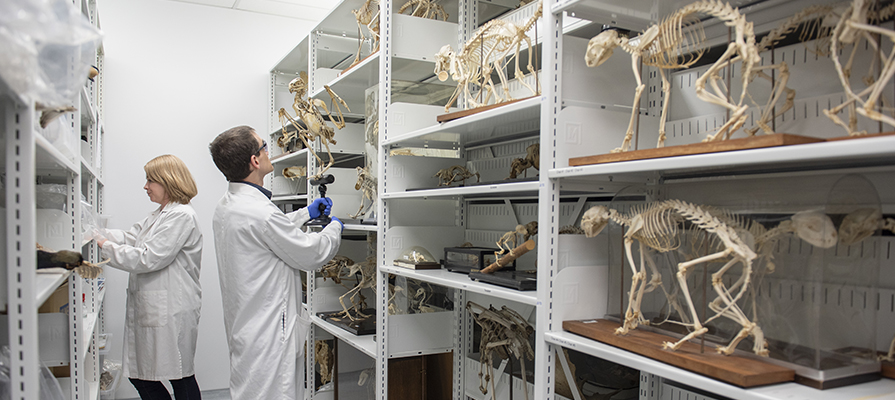 Undergraduate programs