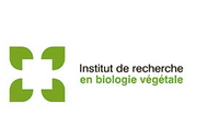 Logo of the Institut de recherche en biologie végétale